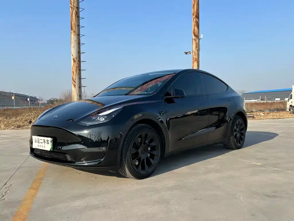 Tesla Model Y — фото 1