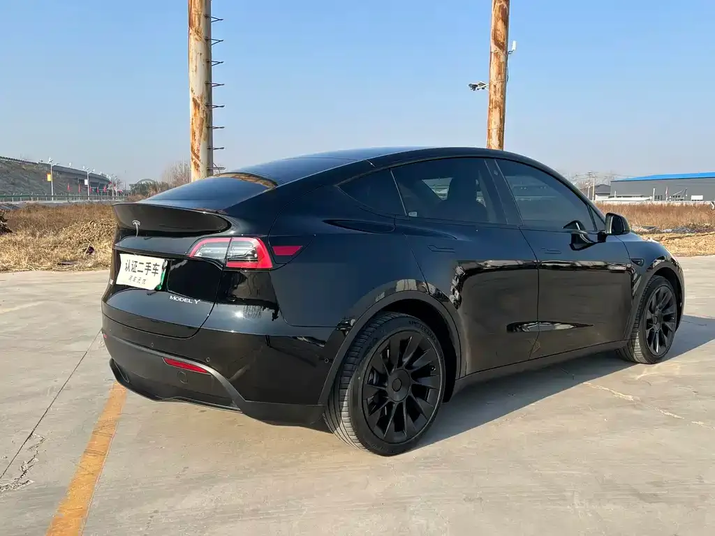 Tesla Model Y — фото 10