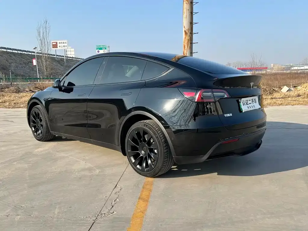 Tesla Model Y — фото 8