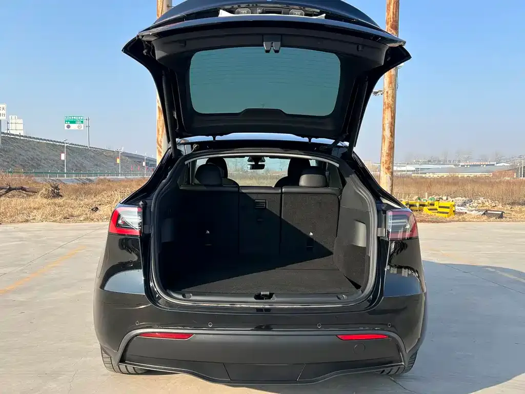 Tesla Model Y — фото 4
