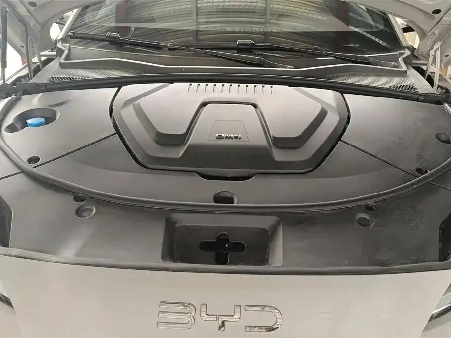 BYD PLUS New Energy — фото 6