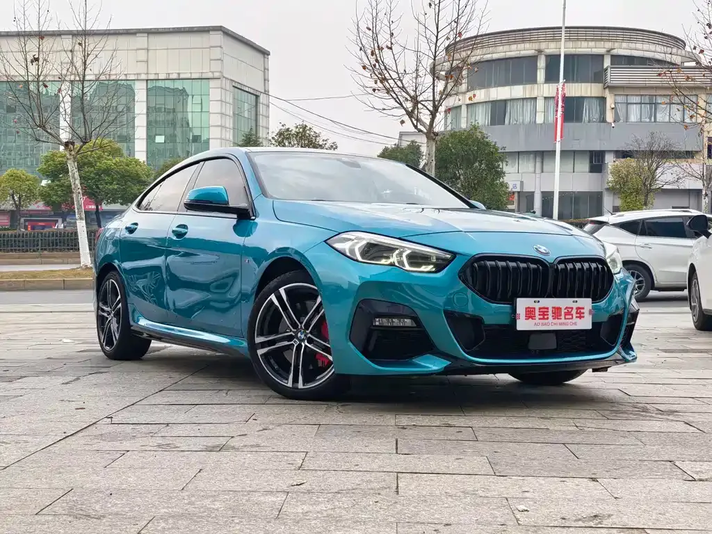 BMW 2 Series (Import) — фото 10