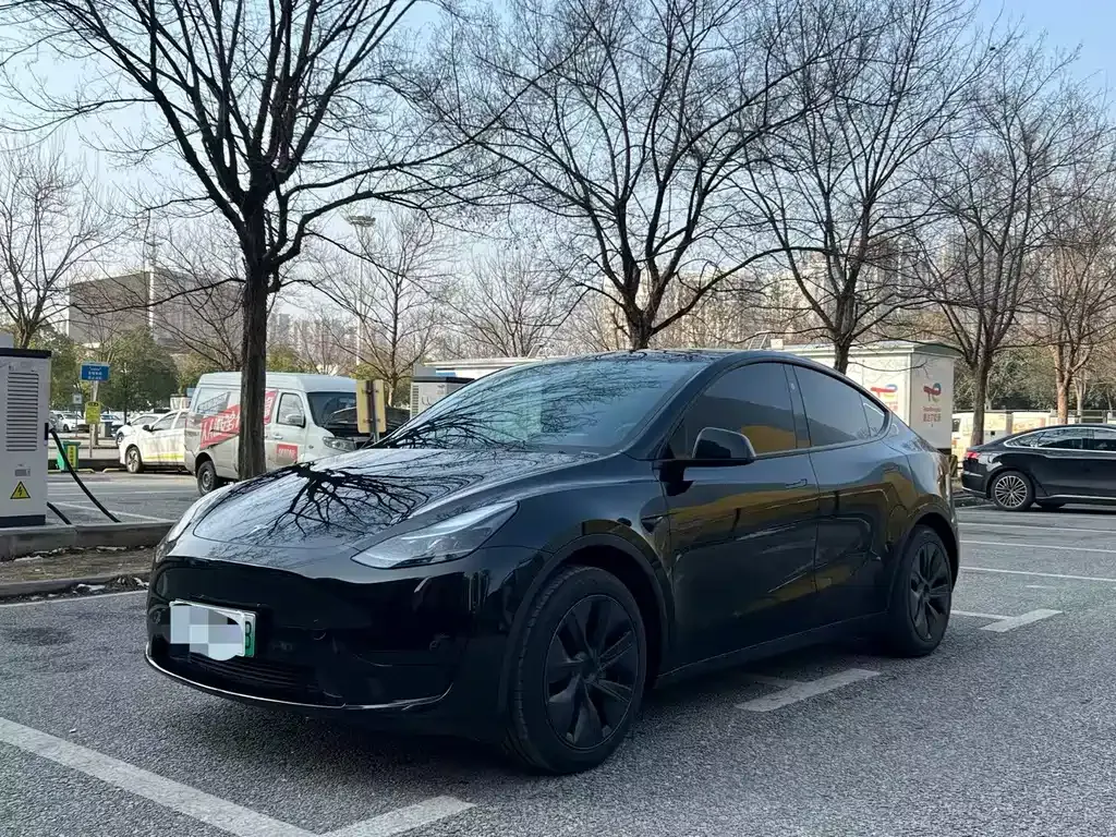 Tesla Model Y — фото 1