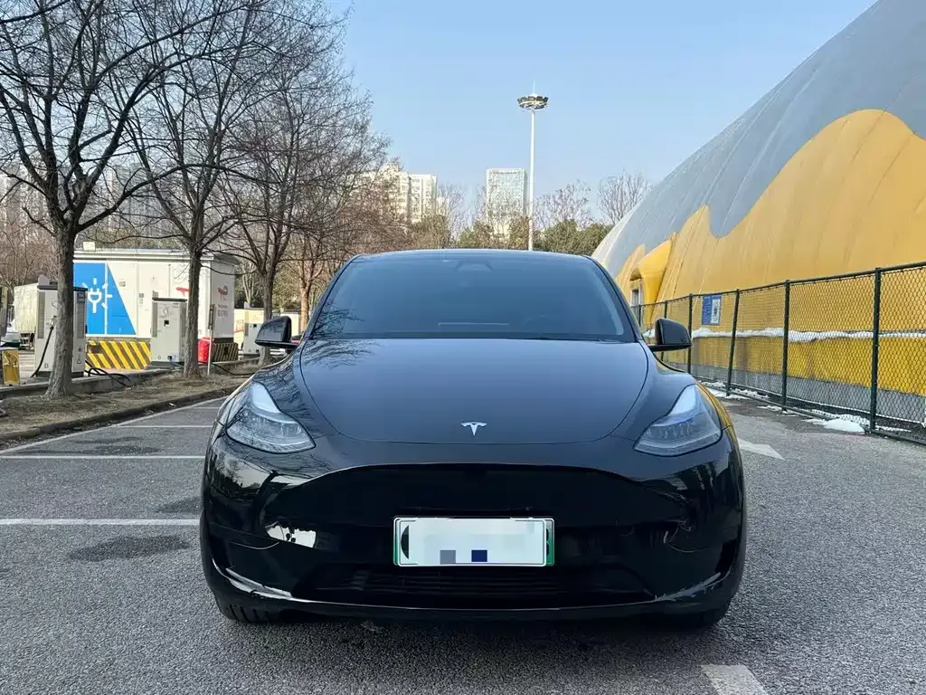 Tesla Model Y — фото 2