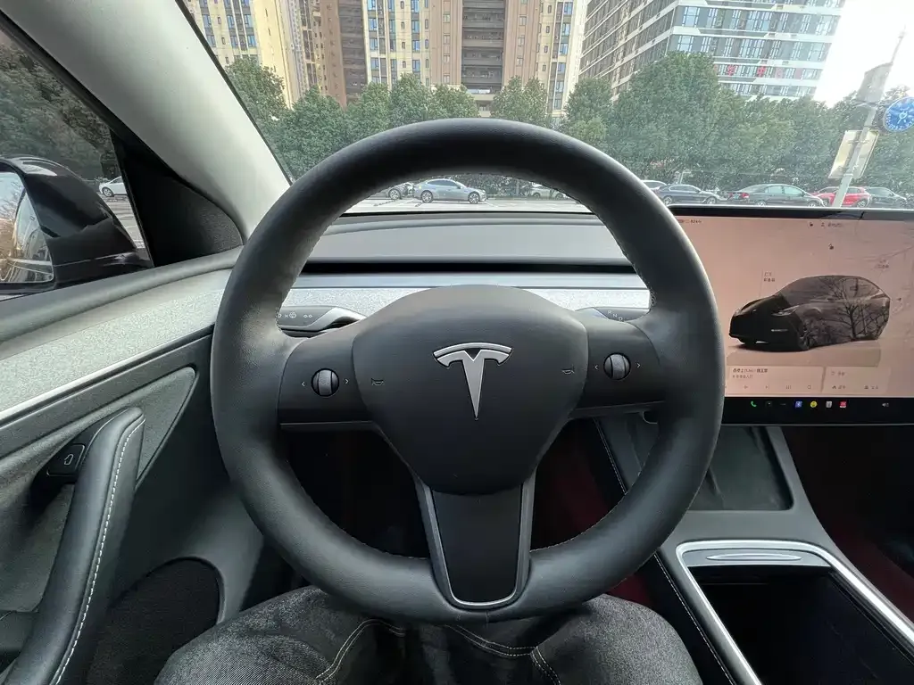 Tesla Model Y — фото 5
