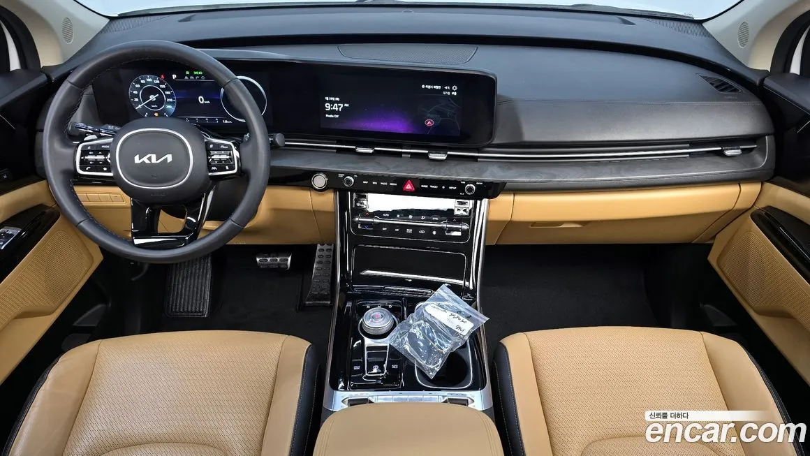 Kia Carnival — фото 10