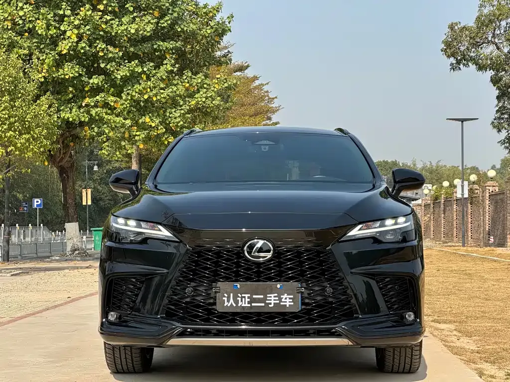 Lexus RX — фото 4