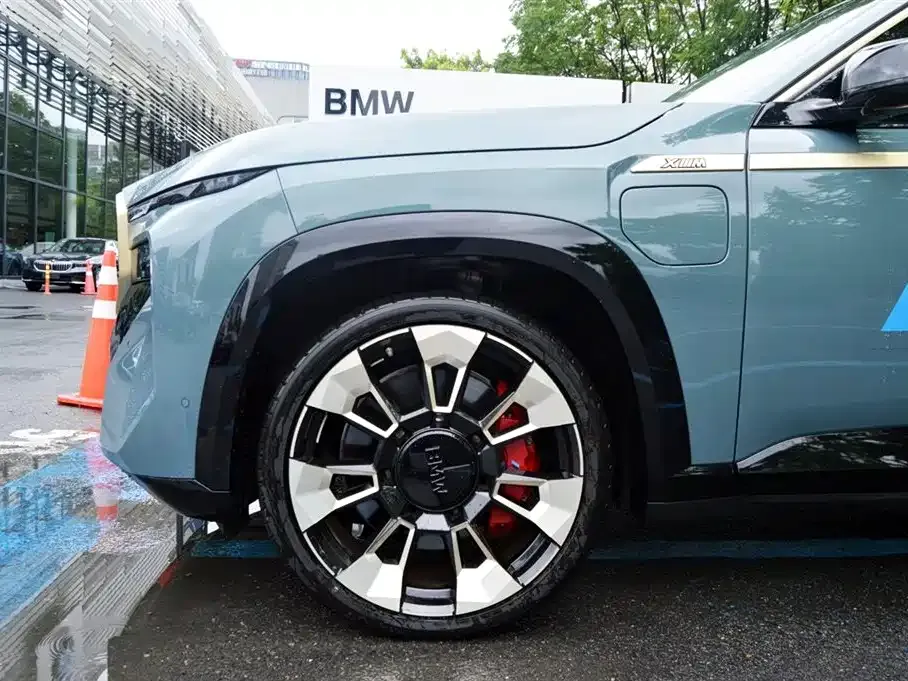 BMW XM — фото 5