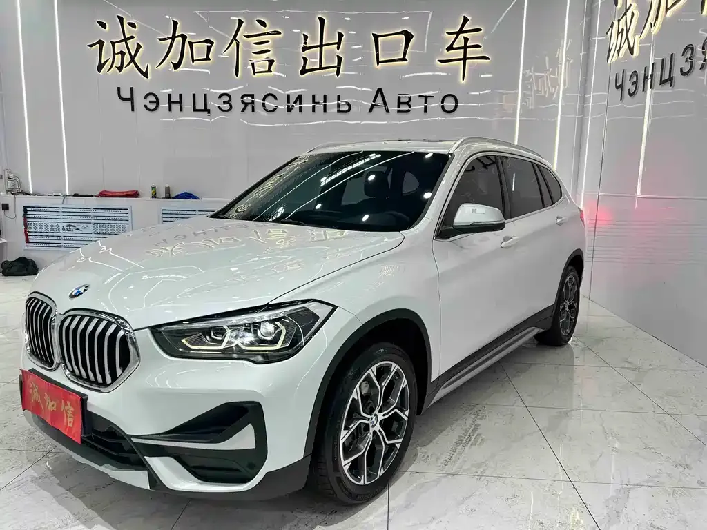 BMW X1 — фото 1