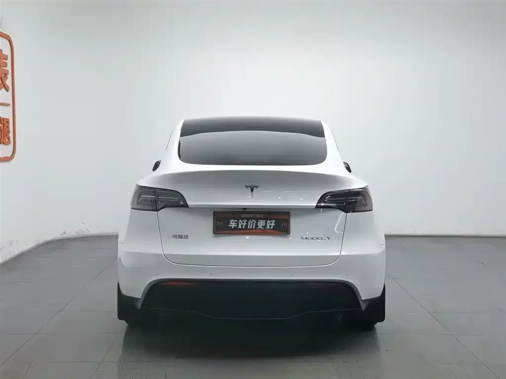 Tesla Model Y — фото 2