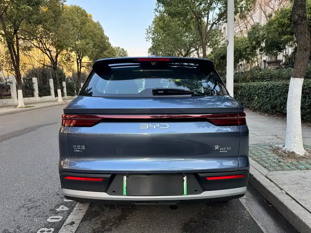 BYD Pro New Energy — фото 4