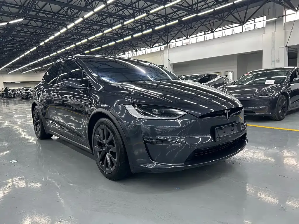 Tesla Model X — фото 2
