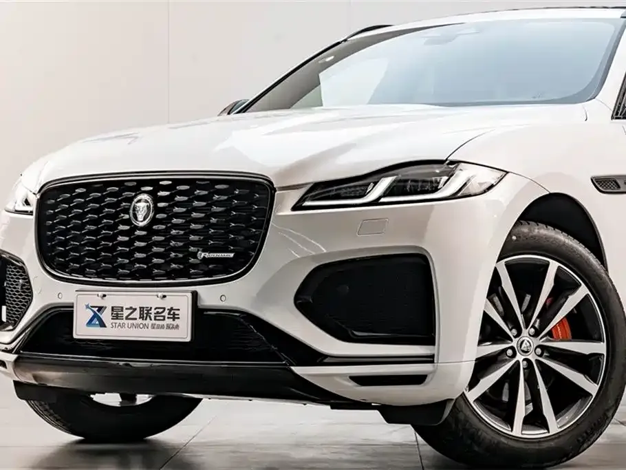 Jaguar F-PACE — фото 10