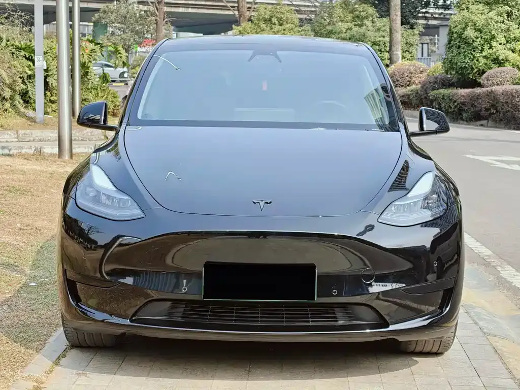 Tesla Model Y — фото 9