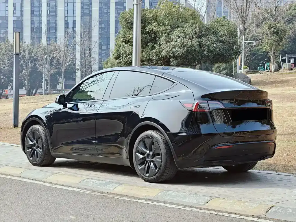 Tesla Model Y — фото 10
