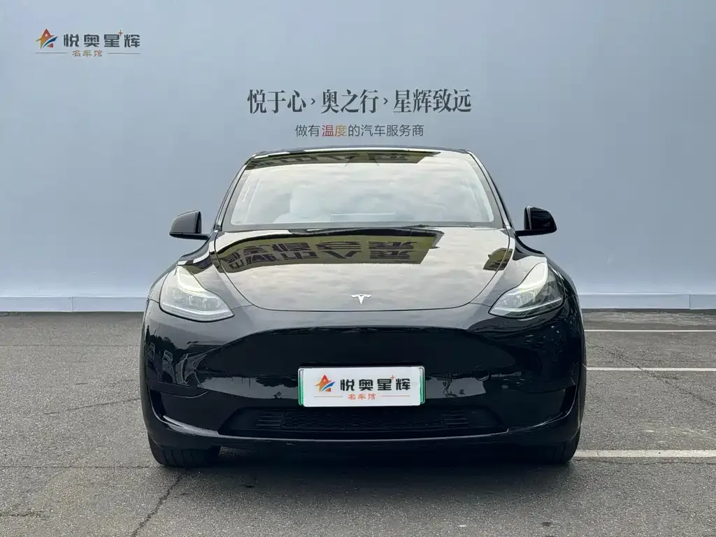 Tesla Model Y — фото 2