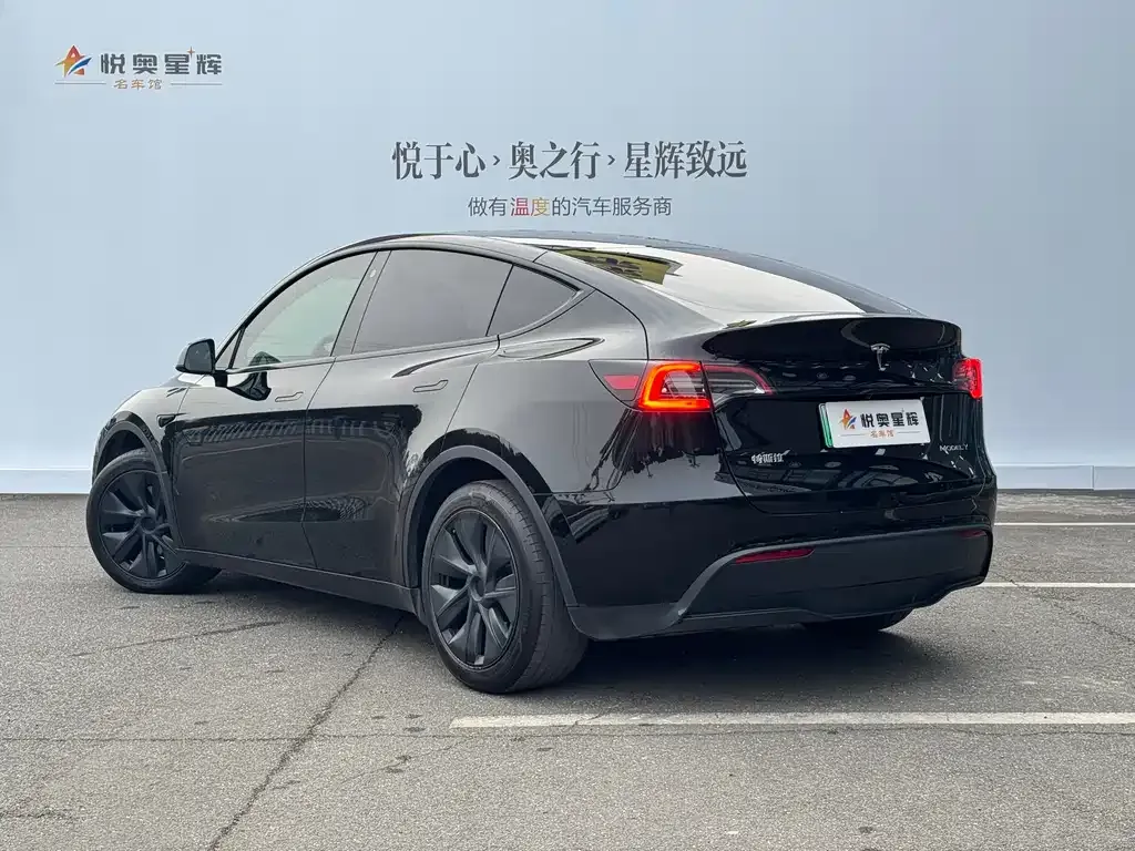 Tesla Model Y — фото 6