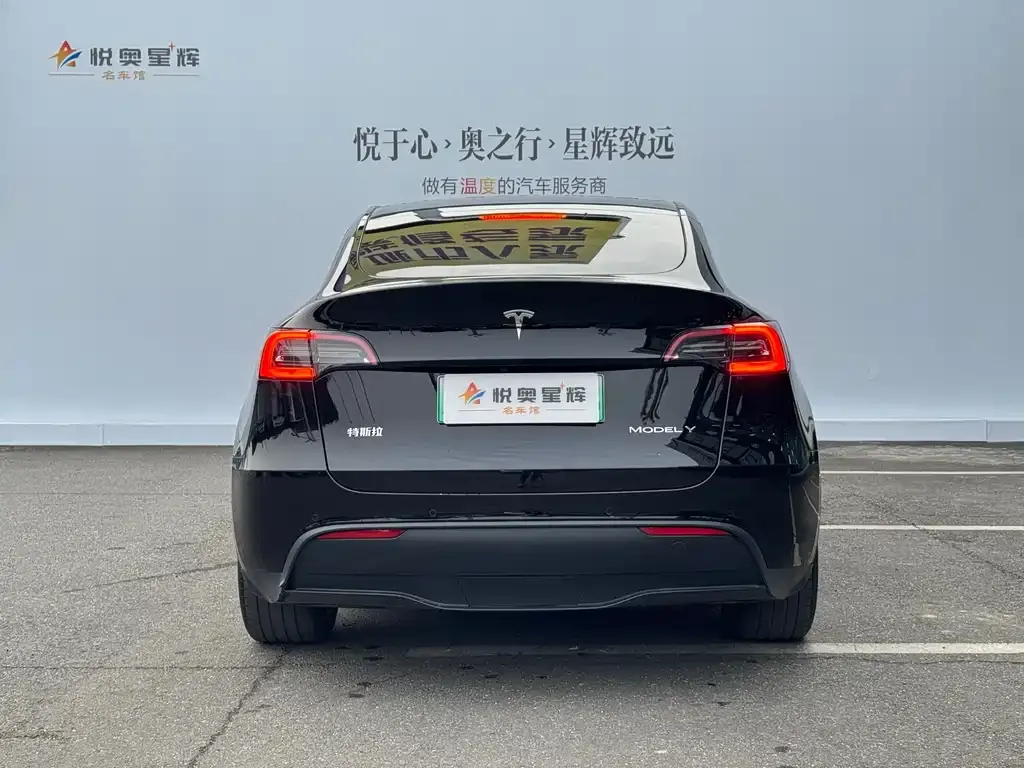 Tesla Model Y — фото 8