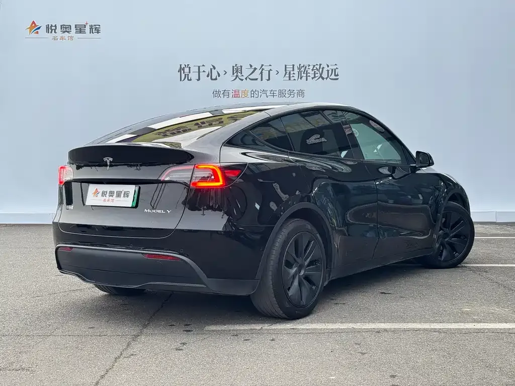 Tesla Model Y — фото 4