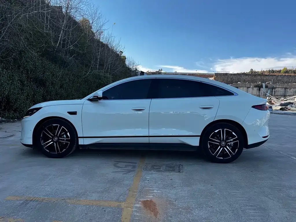 BYD Qin L — фото 2