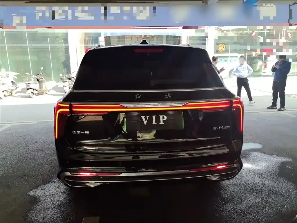 Hongqi E-HS9 — фото 2