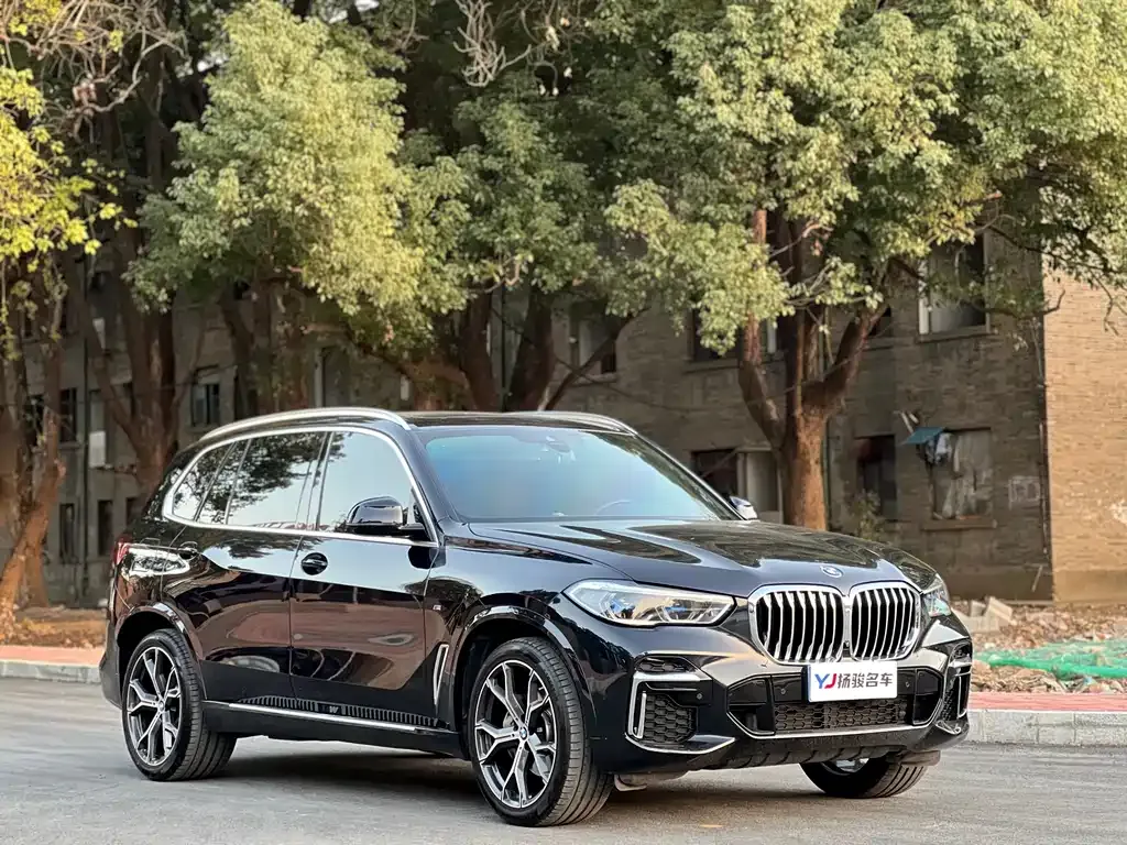 BMW X5 — фото 6
