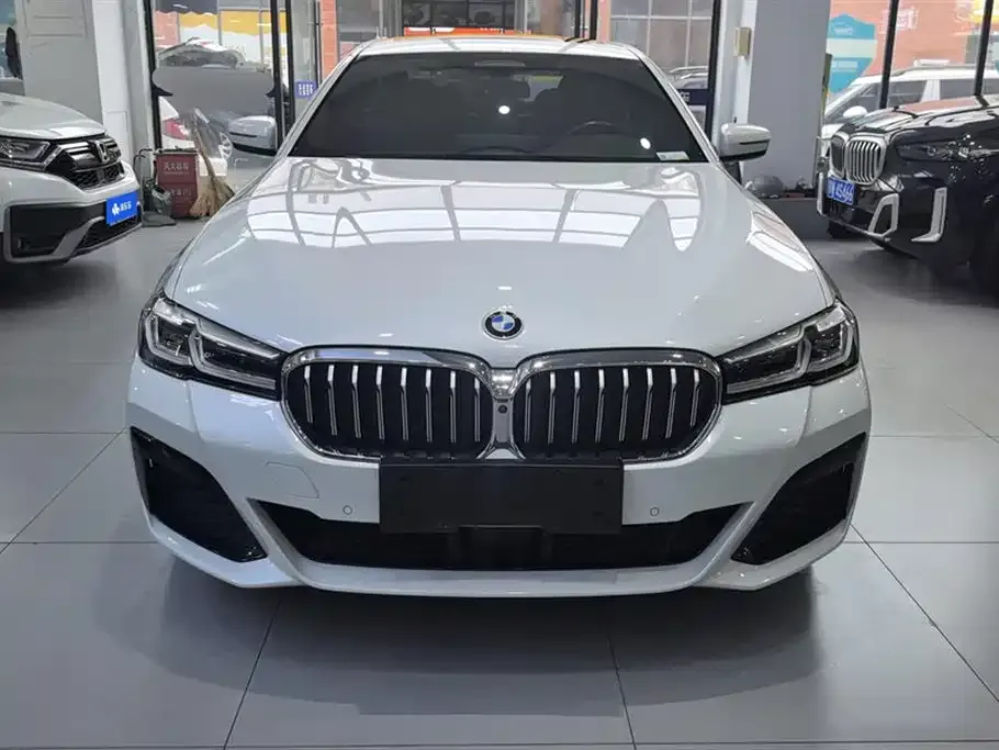 BMW 5 Series New Energy — фото 8