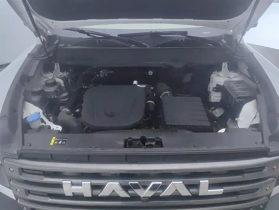 Haval Menglong New Energy — фото 10