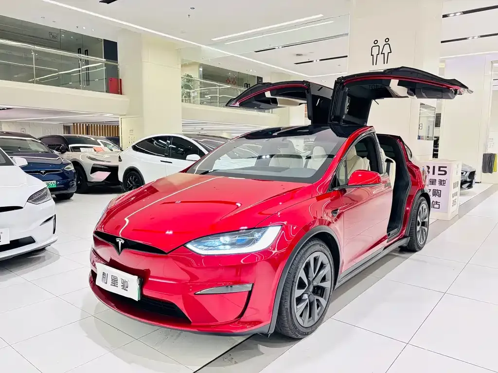 Tesla Model X — фото 1