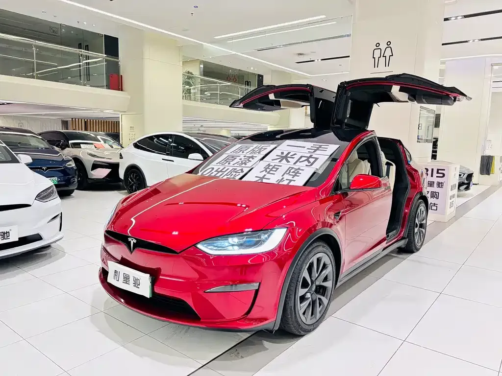 Tesla Model X — фото 8