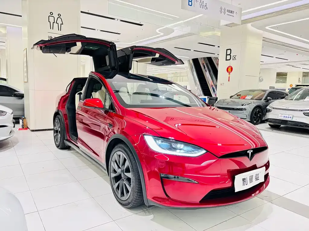 Tesla Model X — фото 5