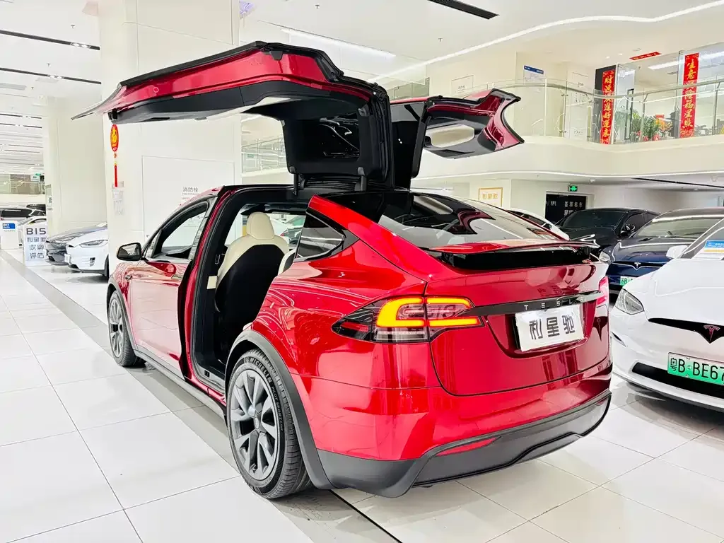 Tesla Model X — фото 9