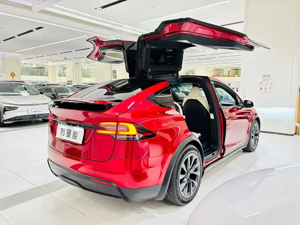 Tesla Model X — фото 7