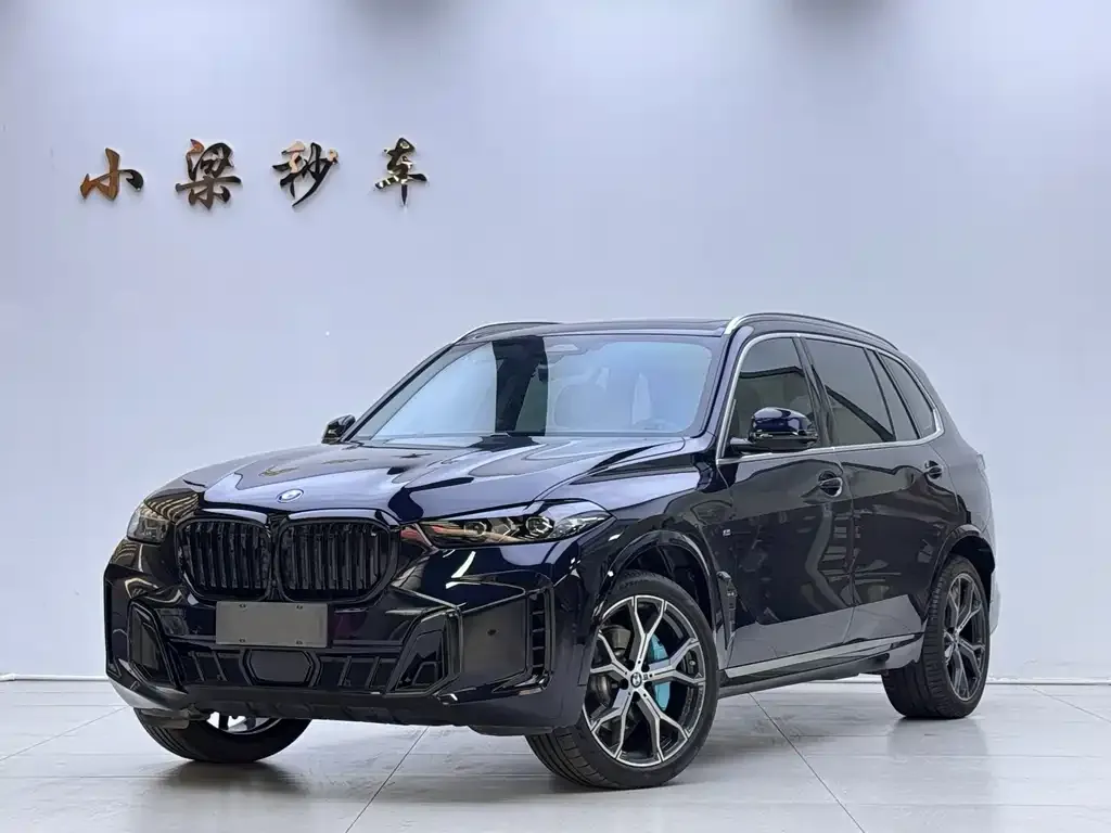 BMW X5 — фото 1