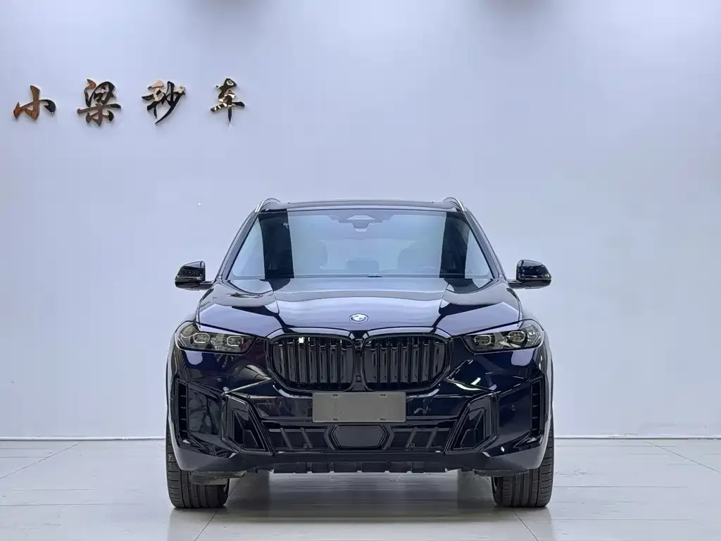 BMW X5 — фото 2