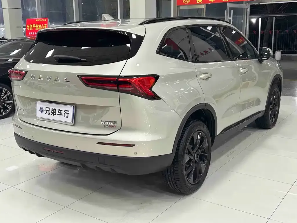 Haval H6 — фото 8