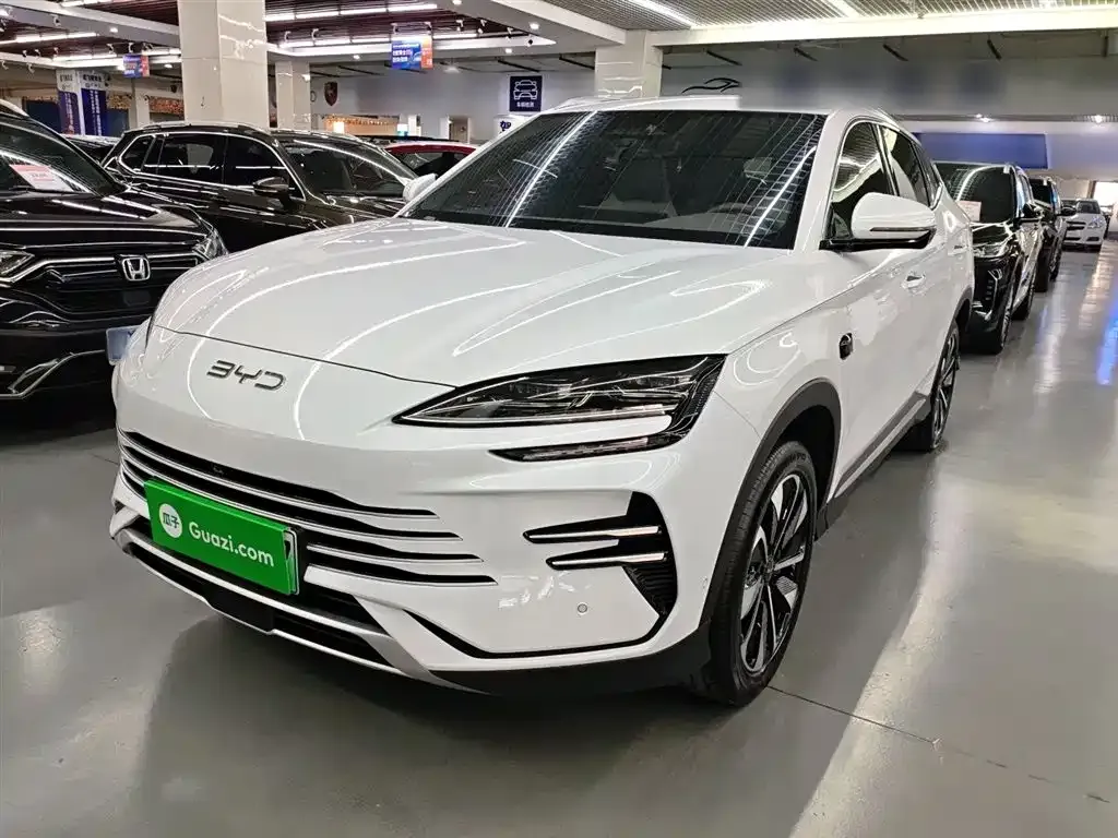 BYD PLUS New Energy — фото 1