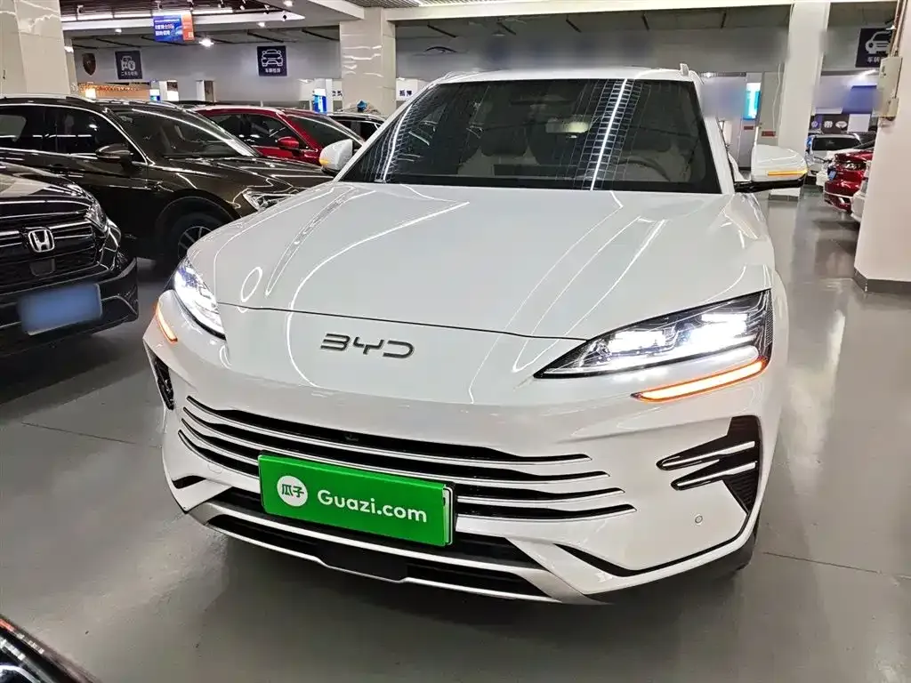 BYD PLUS New Energy — фото 6