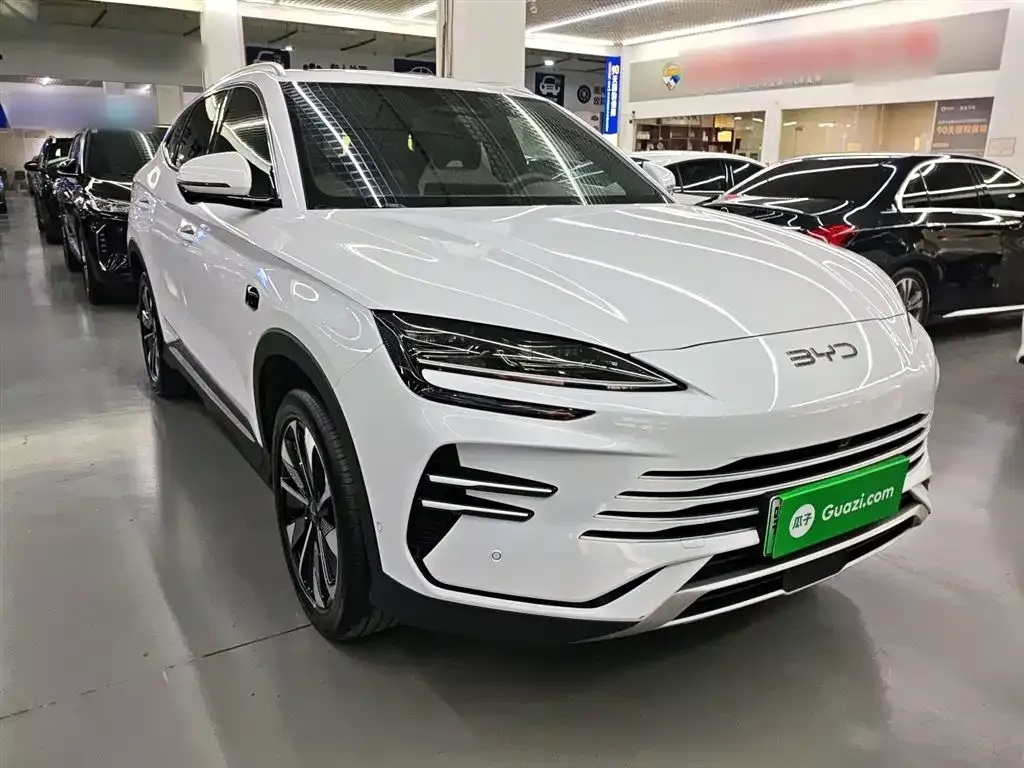 BYD PLUS New Energy — фото 7