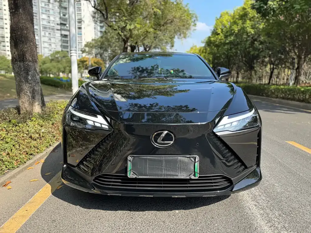 Lexus RZ — фото 10
