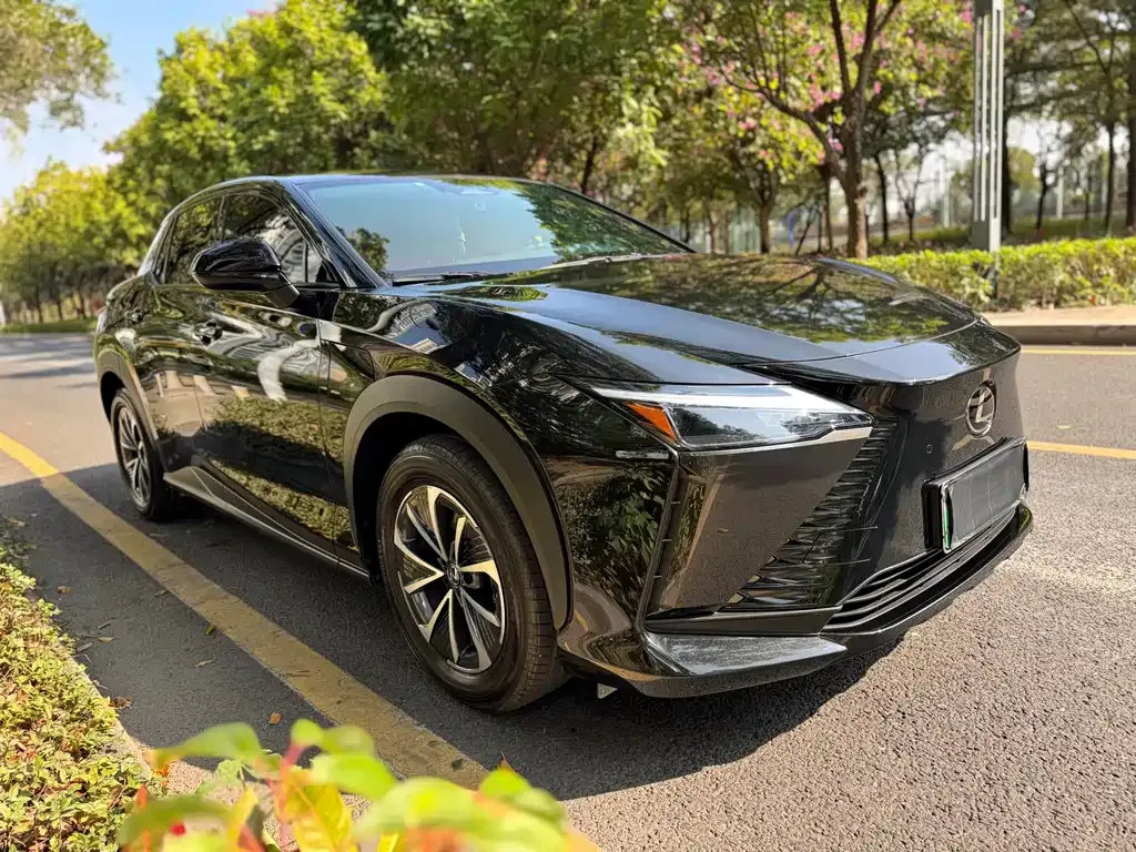 Lexus RZ — фото 6