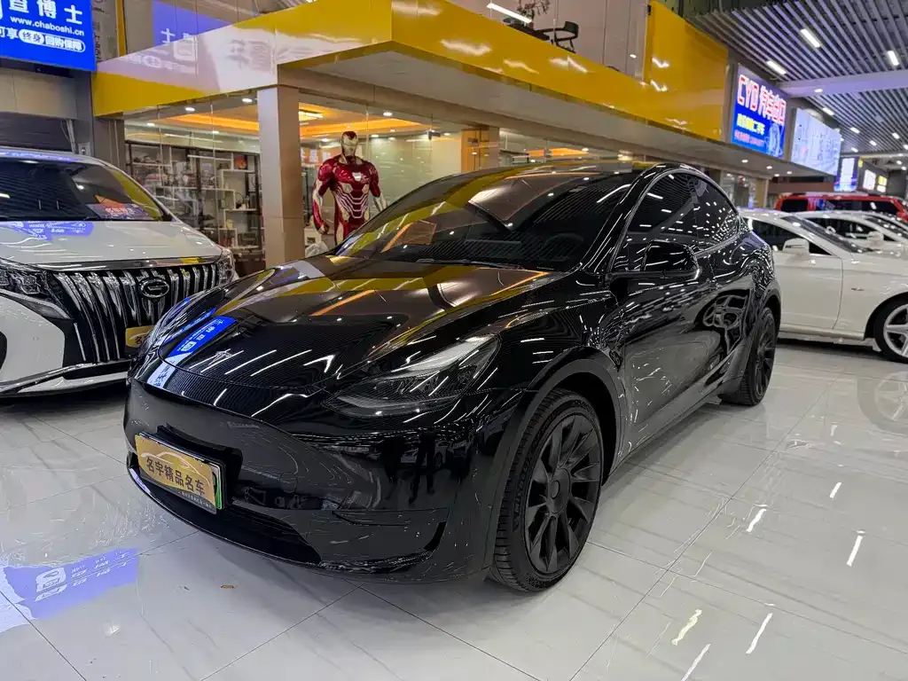 Tesla Model Y — фото 1