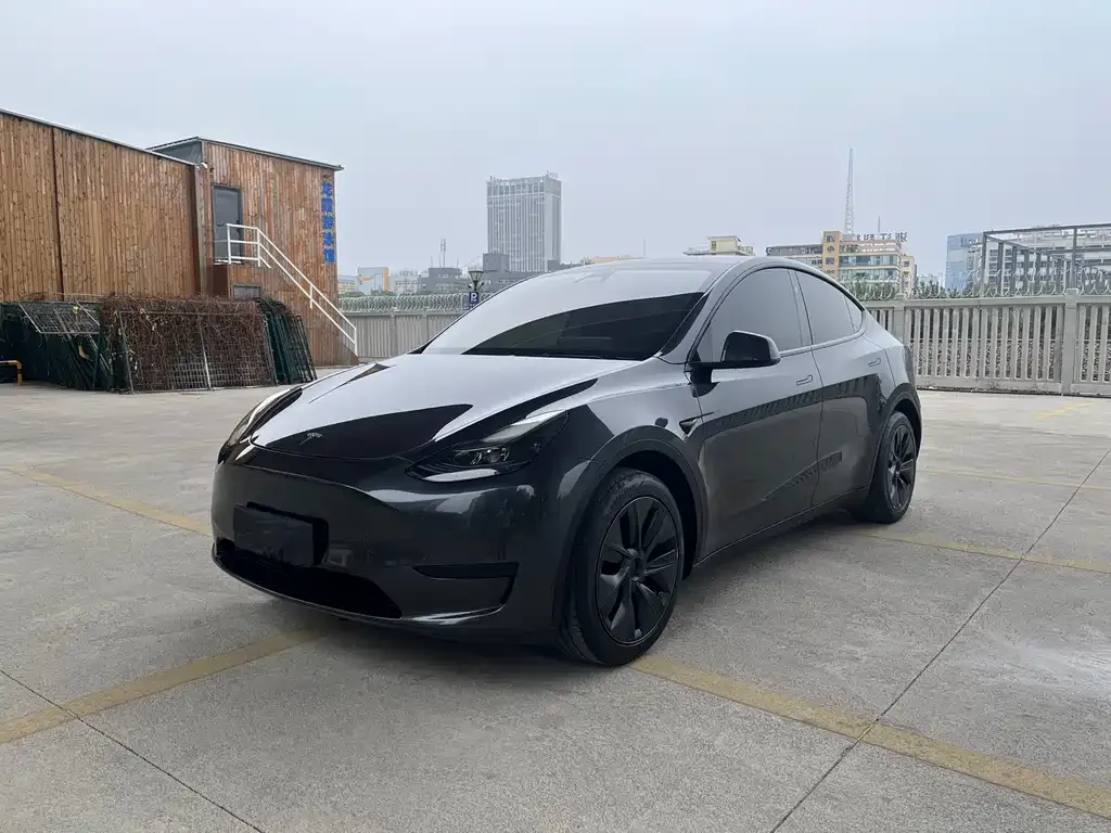 Tesla Model Y — фото 1