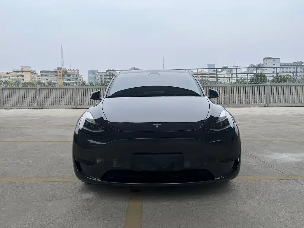 Tesla Model Y — фото 4