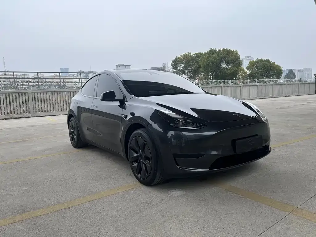 Tesla Model Y — фото 2