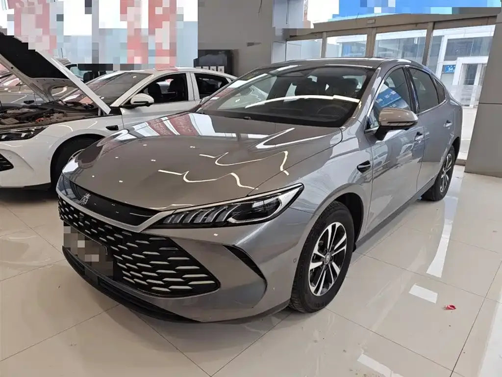 BYD Qin PLUS — фото 1