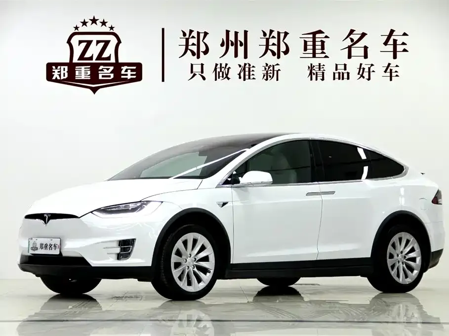 Tesla Model X — фото 1