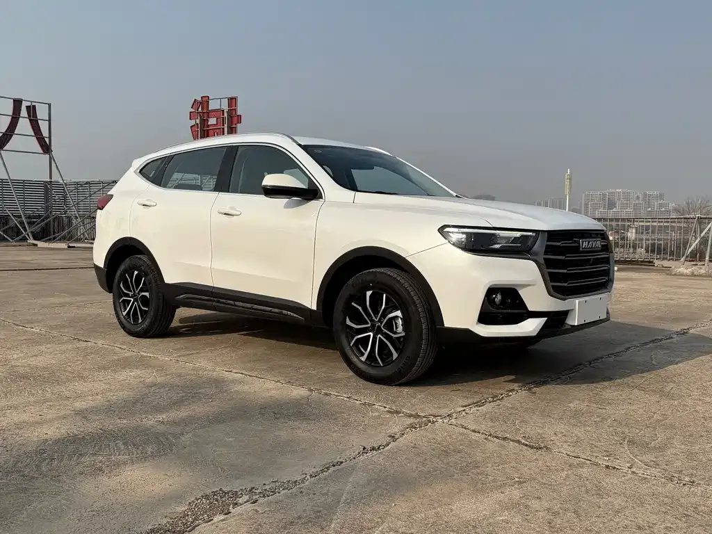 Haval H6 — фото 8