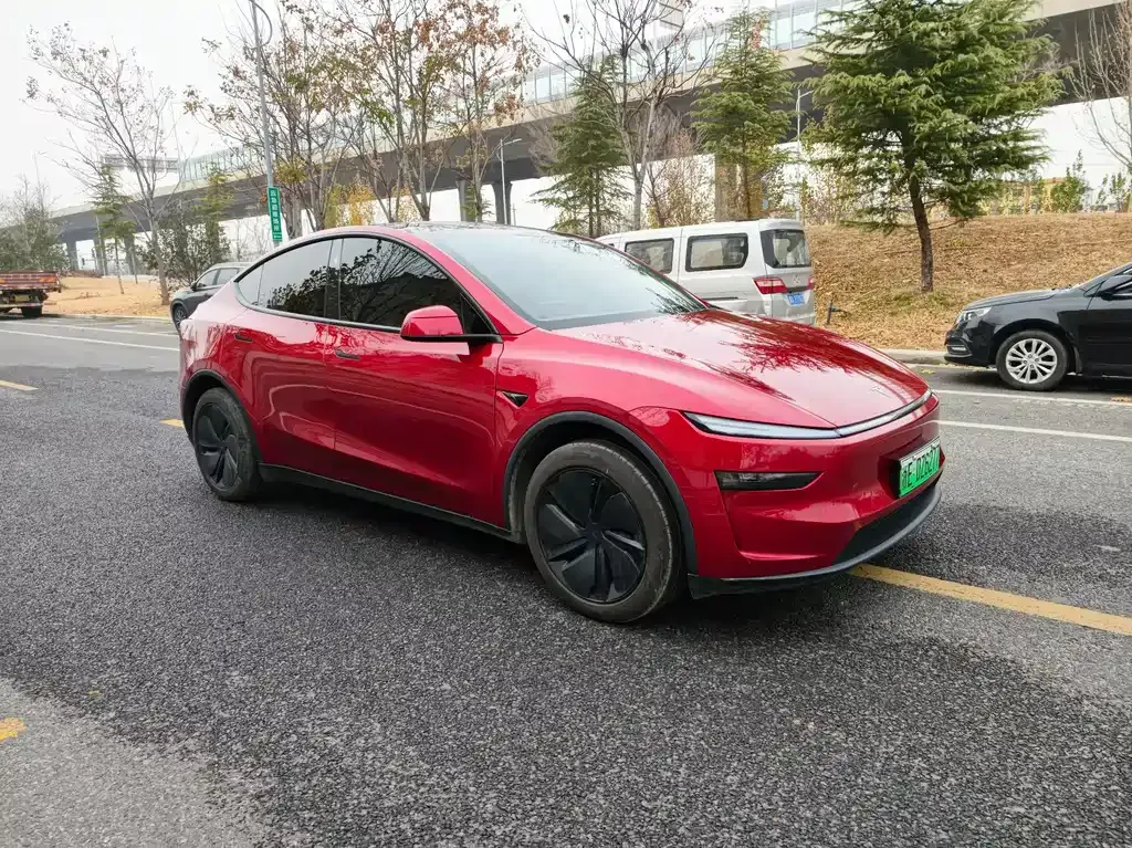 Tesla Model Y — фото 3