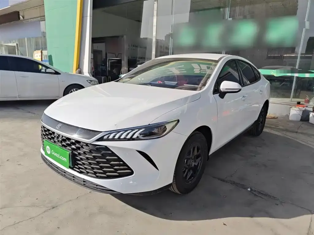 BYD Qin PLUS — фото 1